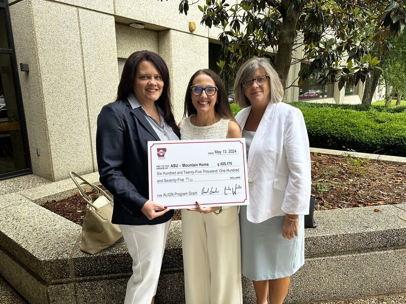 orig_nursing-grant-2-140339